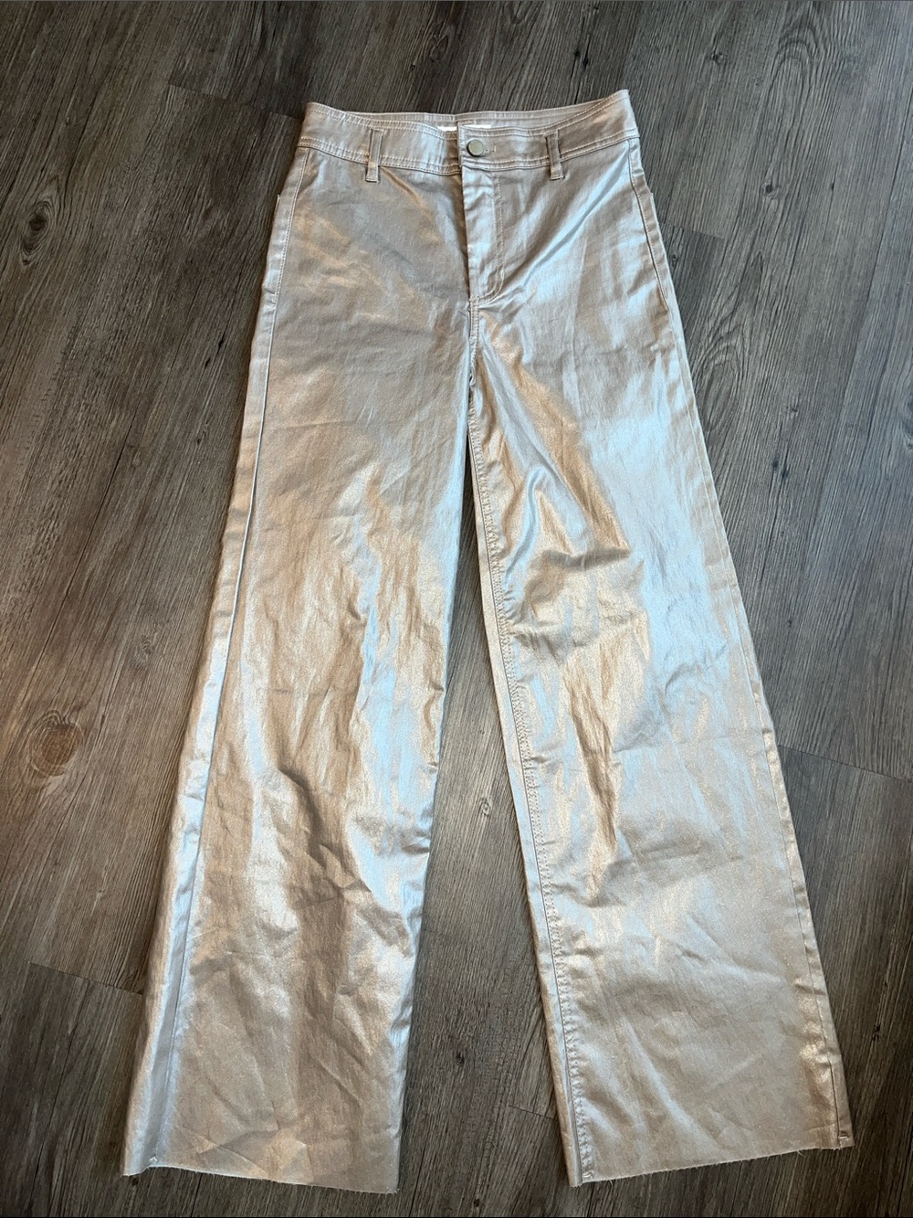 OAT NEW YORK Metallic Silver Wide-Leg Pants